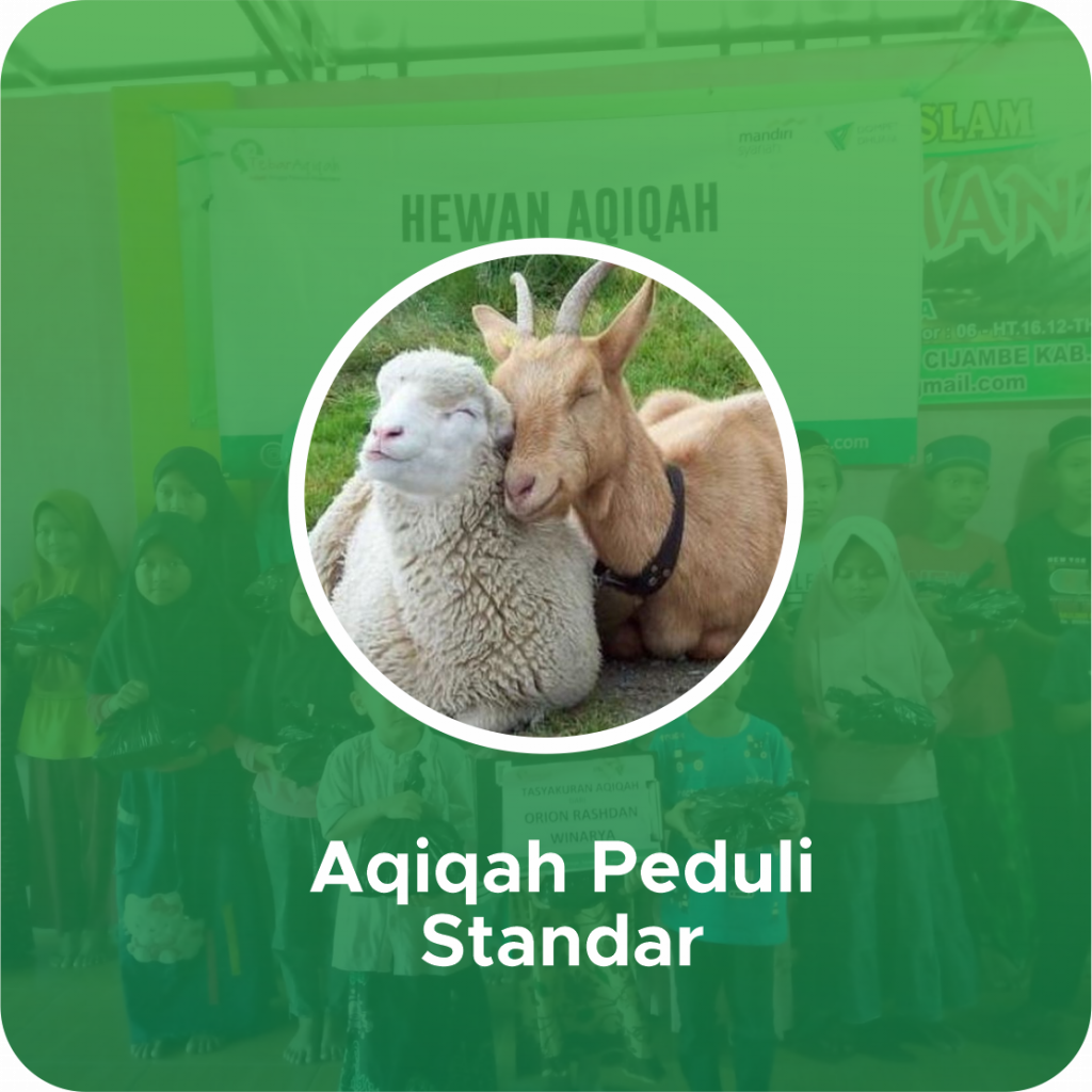 peduli-standar